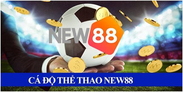 Khám phá hòn đảo phiêu lưu cùng Adventures Of Doubloon Island và những bí mật hấp dẫn