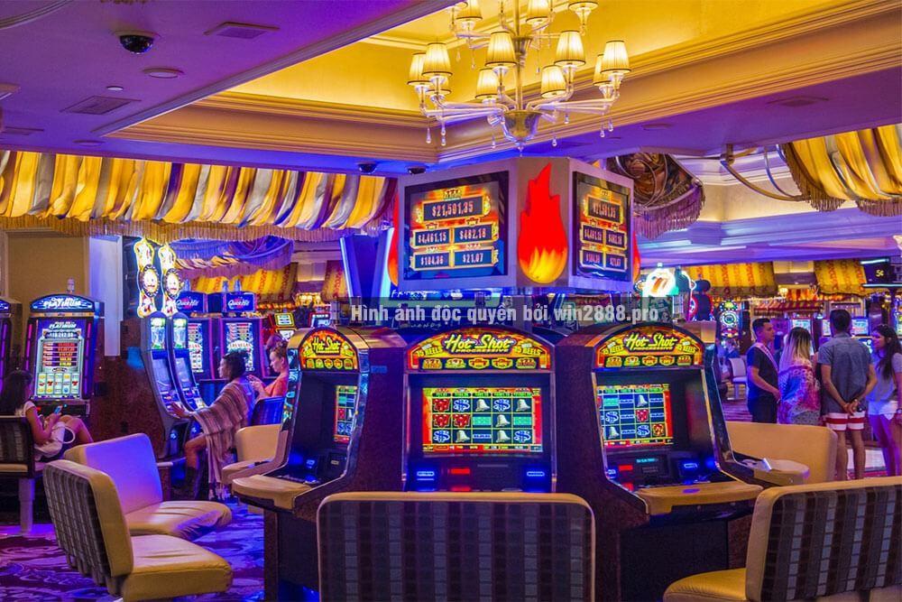 Khám phá trải nghiệm it live tuyệt vời tại bet365 dành cho người chơi Việt Nam