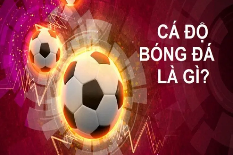Khám phá các online casinos that pay real money an toàn và uy tín để kiếm tiền thật
